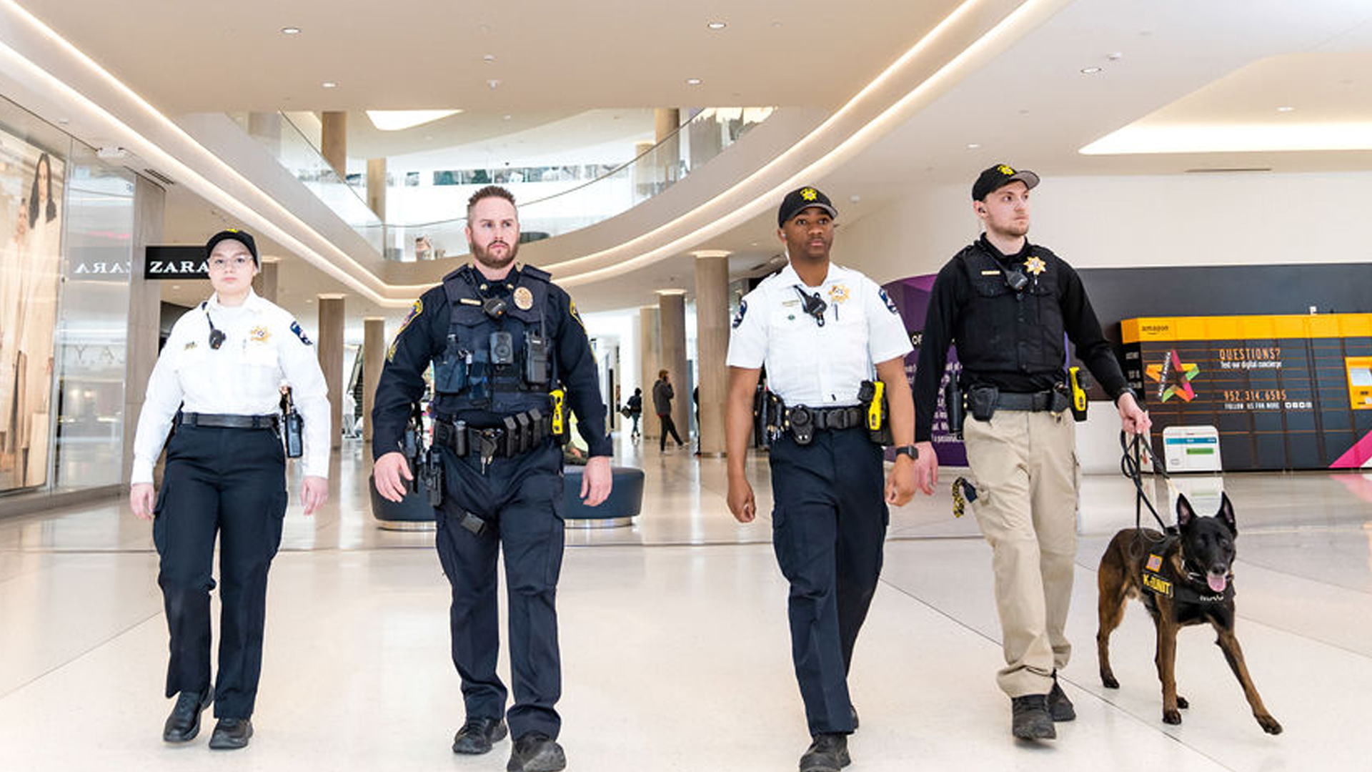 Mall Security